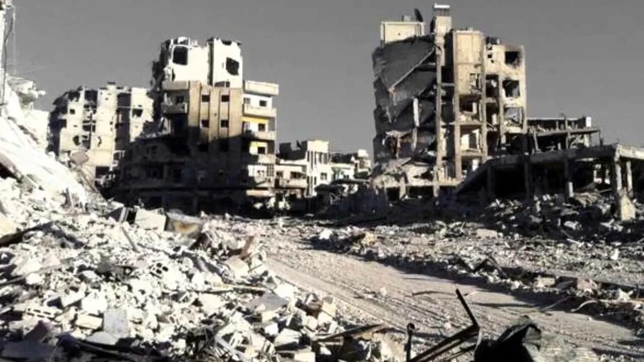 Homs c. Homs c