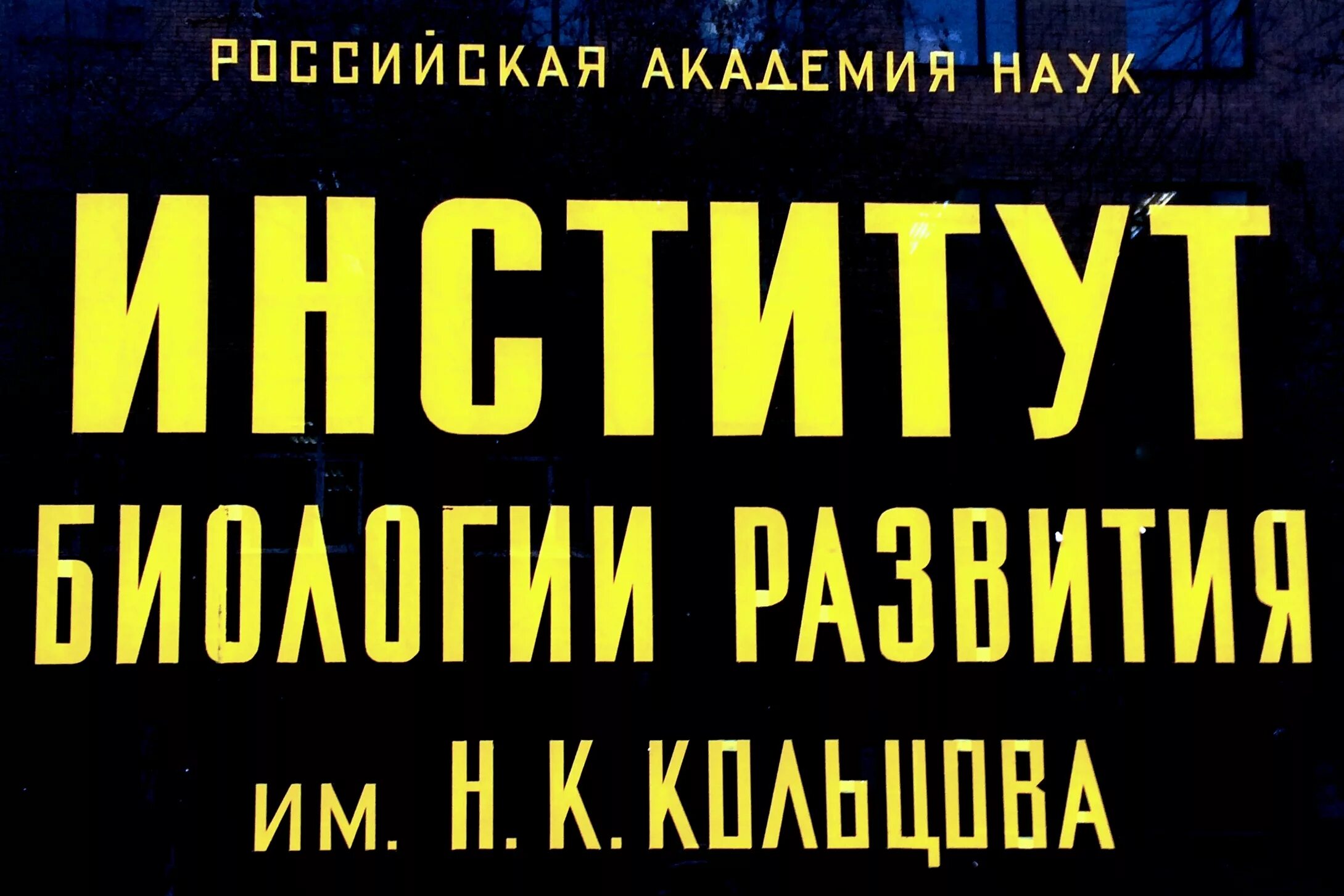 Институт биологии развития им. н.к. Кольцова. Кольцов институт экспериментальной биологии. Институт биологии развития РАН. РАН институт Кольцов.