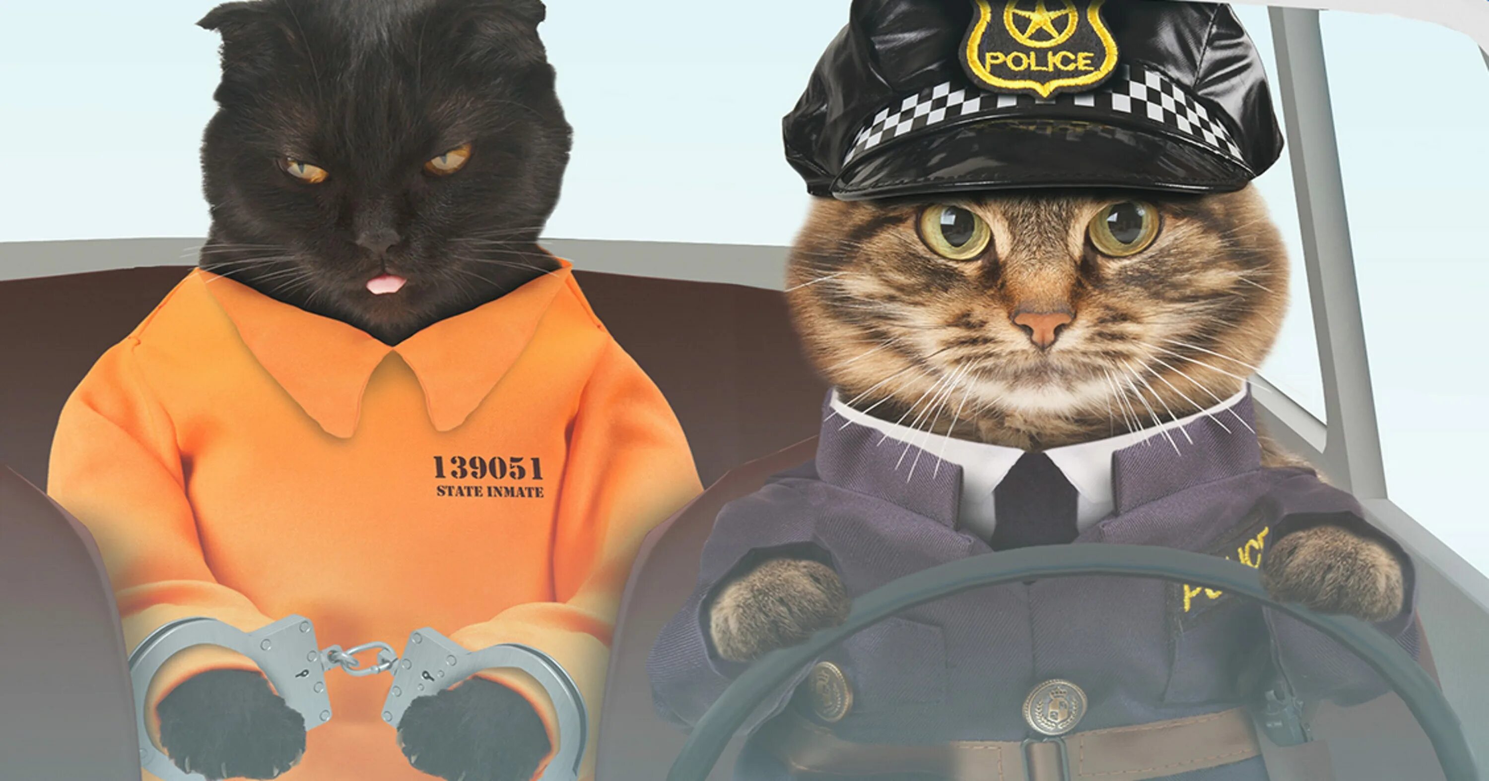 Кошачья полиция. Кот полицейский. Патруль кошка полиция. Рисунки котиков полицейских. Включи коты номер 4