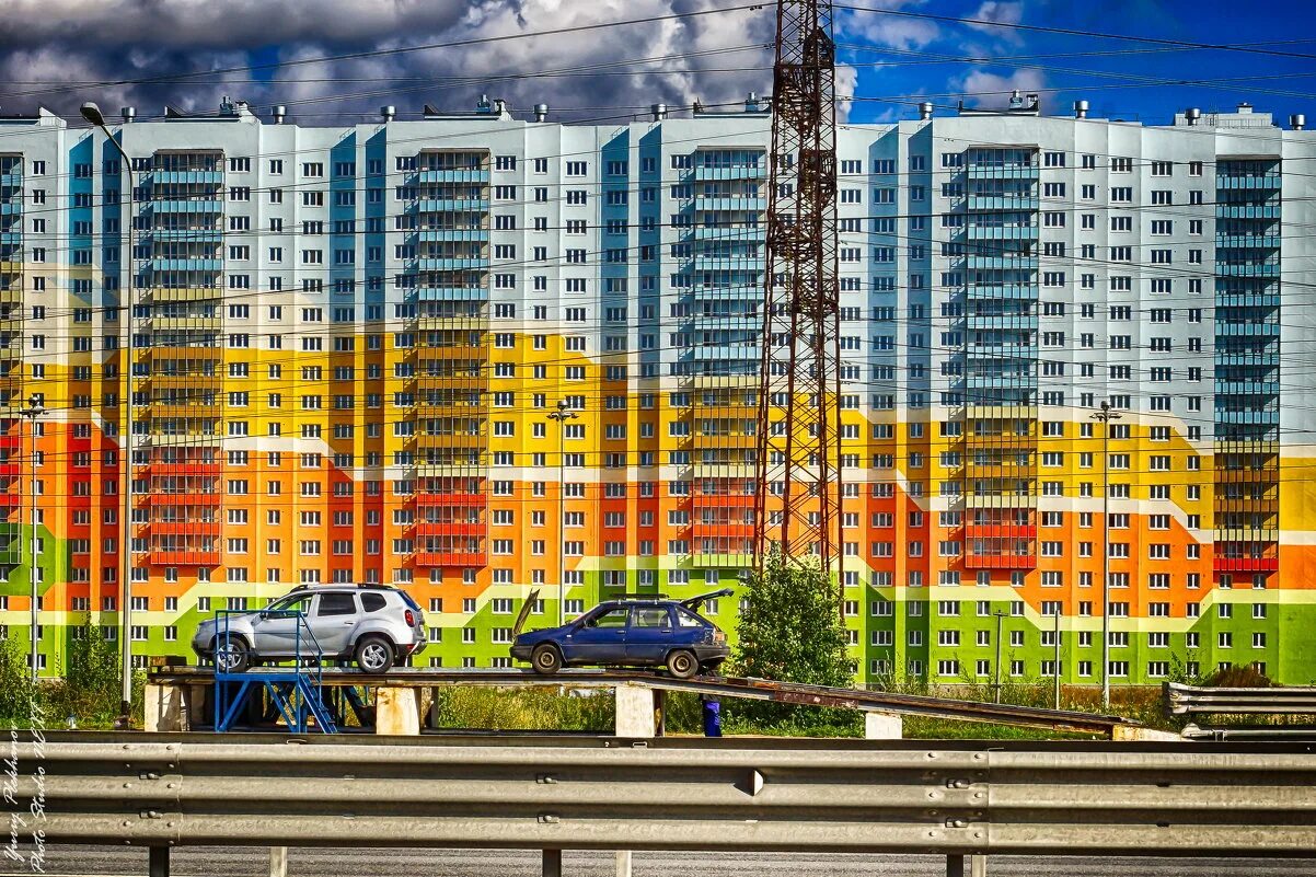 кактус камеры девяткино