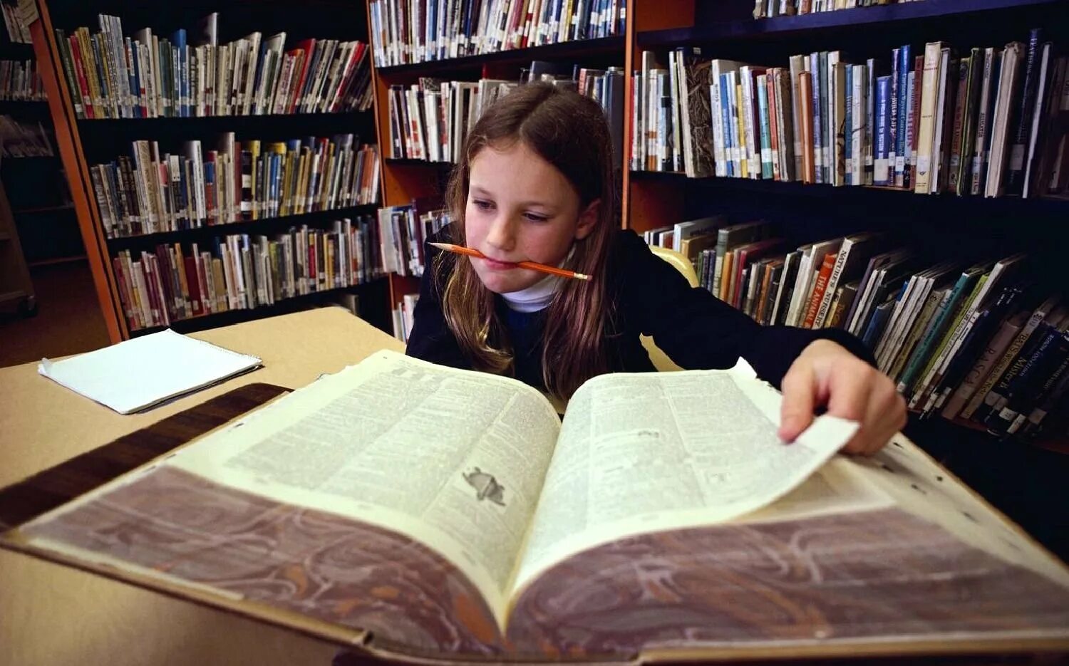 Читать книгу историк