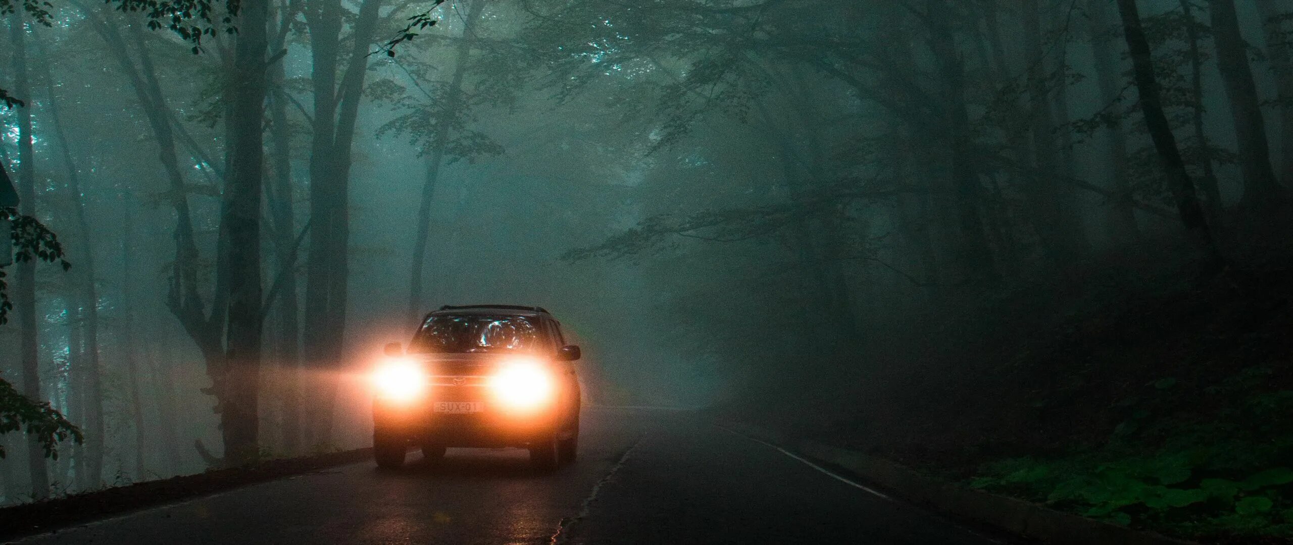 Дорога полная света. Автомобиль в ночном лесу. Машина в лесу ночью. Автомобиль в тумане. Дорога в лесу ночью.