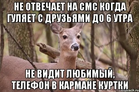 Жена гуляет