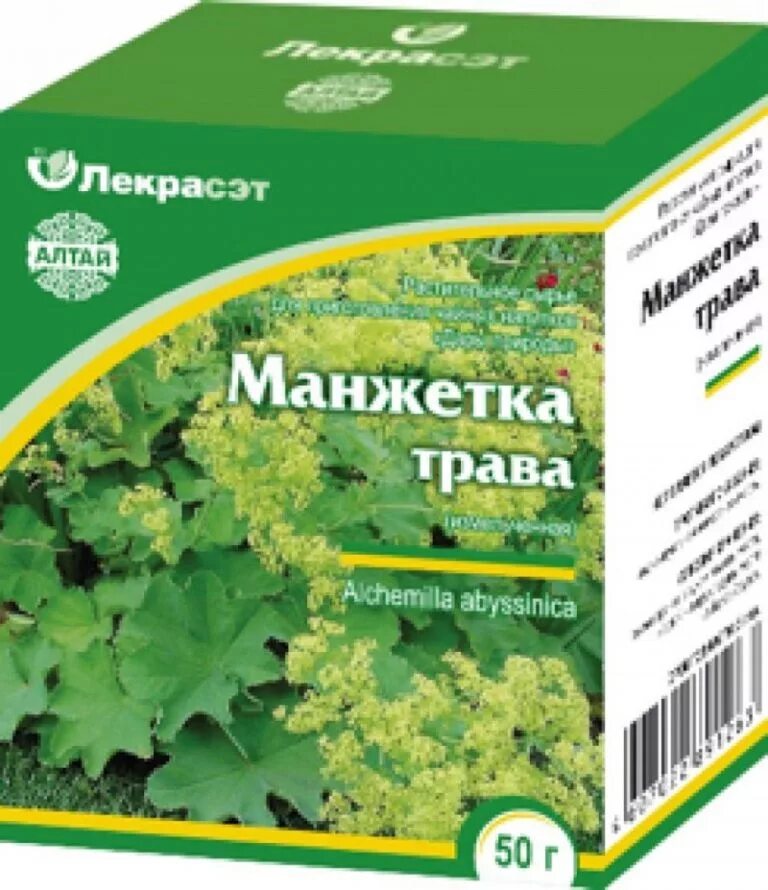 Манжетка красночерешковая. Манжетка трава лечебные. Манжетка обыкновенная (alchemilla vulgaris). Розоцветные манжетка. Манжетка обыкновенная (alchemilla vulgaris).