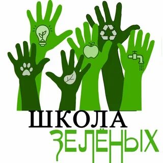 Презентация зеленые школы