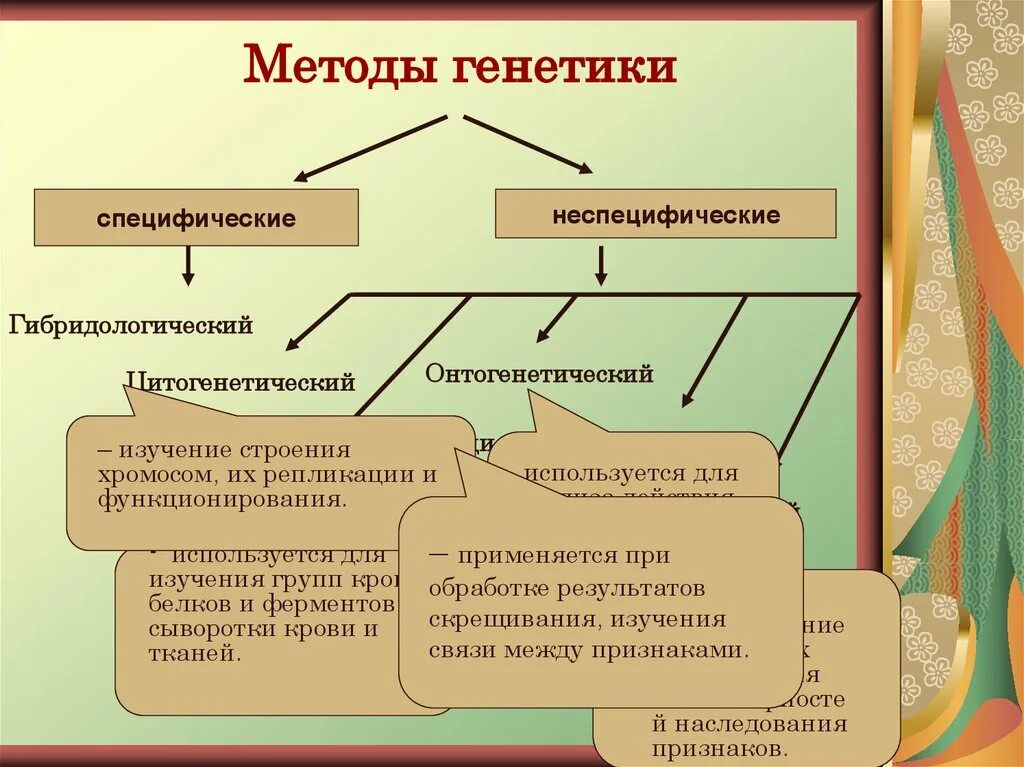 Методики изучения человека. Методы исследования генетики человека таблица 10 класс. Перечислите основные методы генетики человека. Методы наследования генетики. Методы исследования генет.