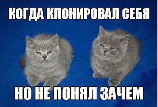 Почему не осознаешь