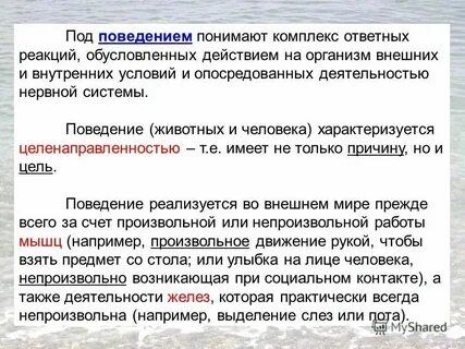 Чем она обусловлена