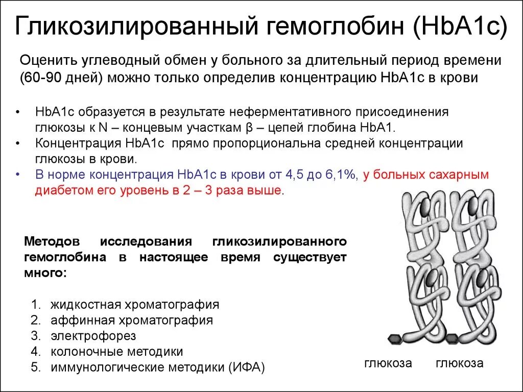 Как сдается гликированный гемоглобин. Hba1c.ifcc гликозилированный гемоглобин hba1c ifcc норма. показатели нормы гликозилированного гемоглобина. норма исследования гликозилированного гемоглобина. гликированный гемоглобин hba1с glycated hemoglobin норма.