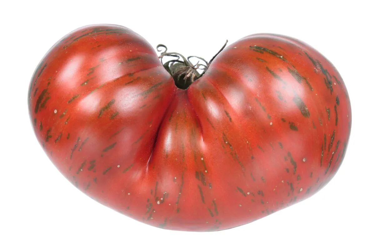 Семена томатов полосатые
