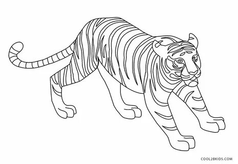 Tiger colour