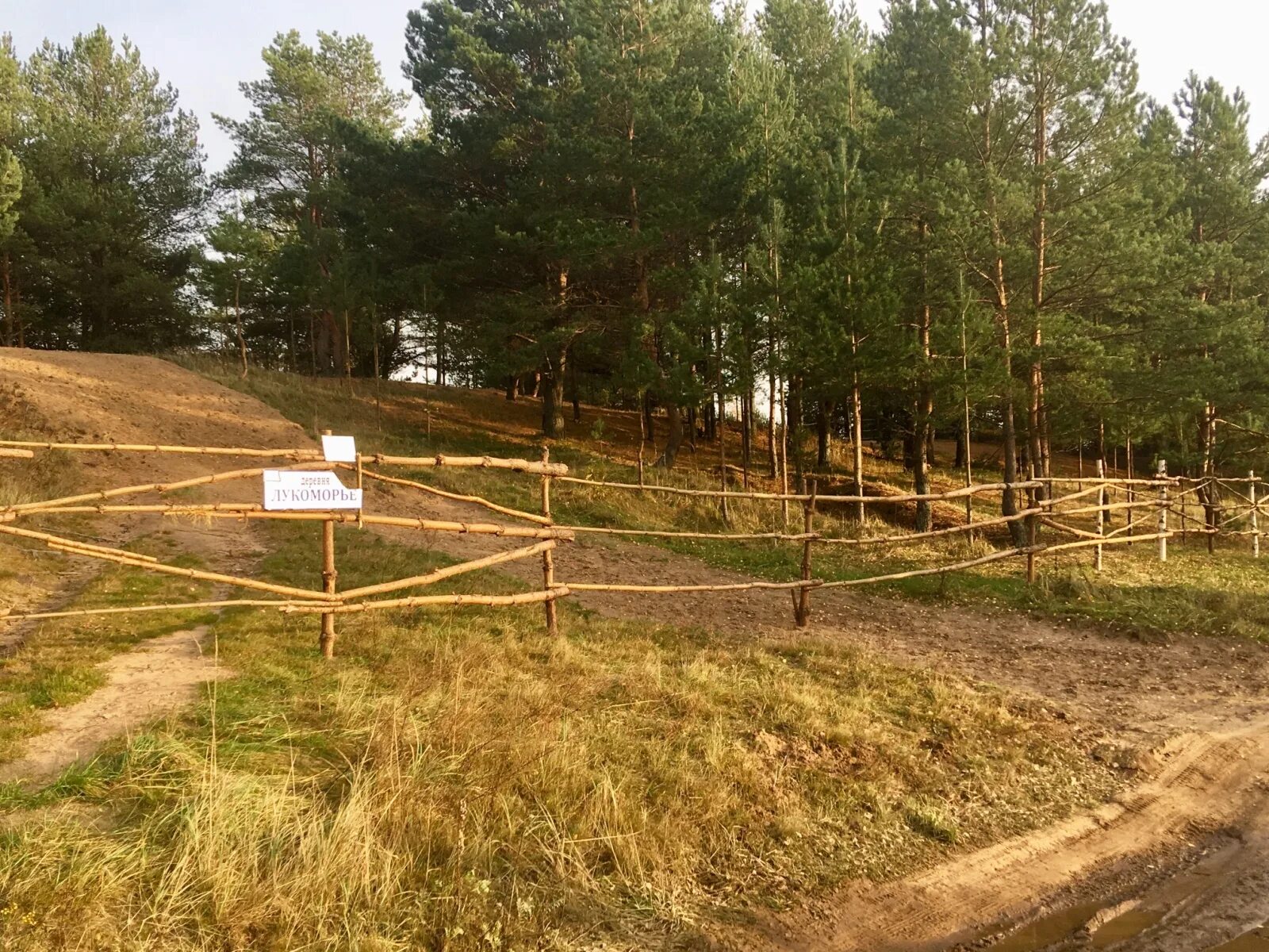 Лукино балахнинский район нижегородская область. Лукоморье, деревня Сартачуль. Лукоморье пансионат Волга. Лукоморье Лукино. Лукоморье Кирполье.