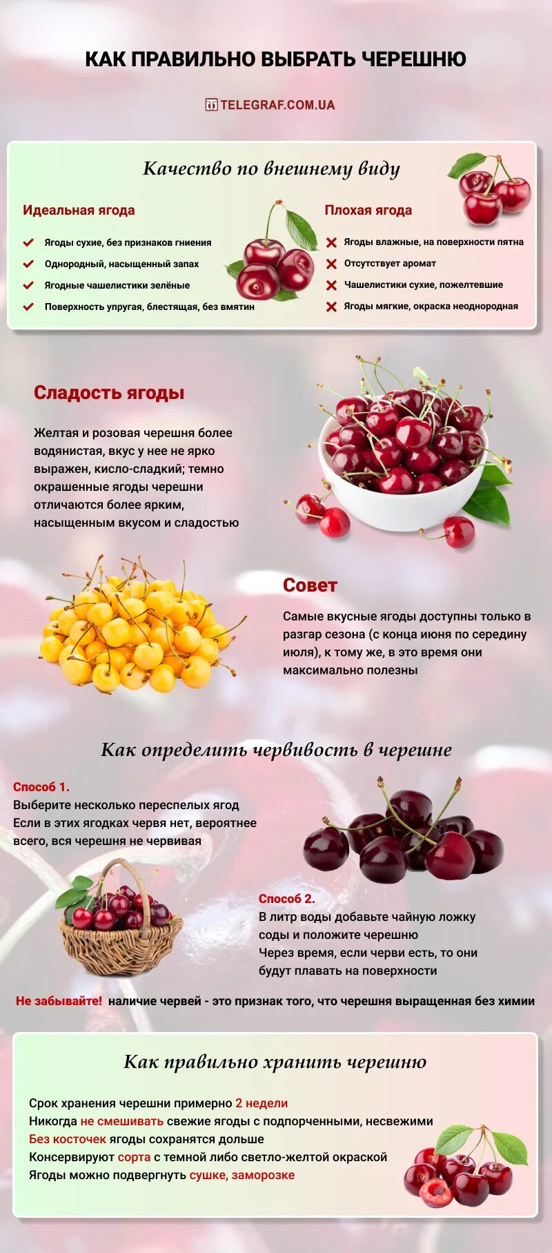 Как удалить червей из черешни
