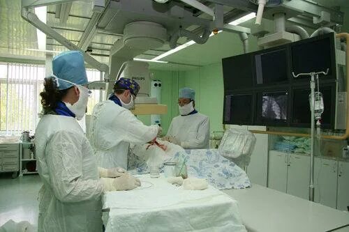 Березовская црб хмао. Берёзовая больница роддом. Березово больница номер. Березово больница номер. Кардиология в омске на березовой областная клиническая больница.