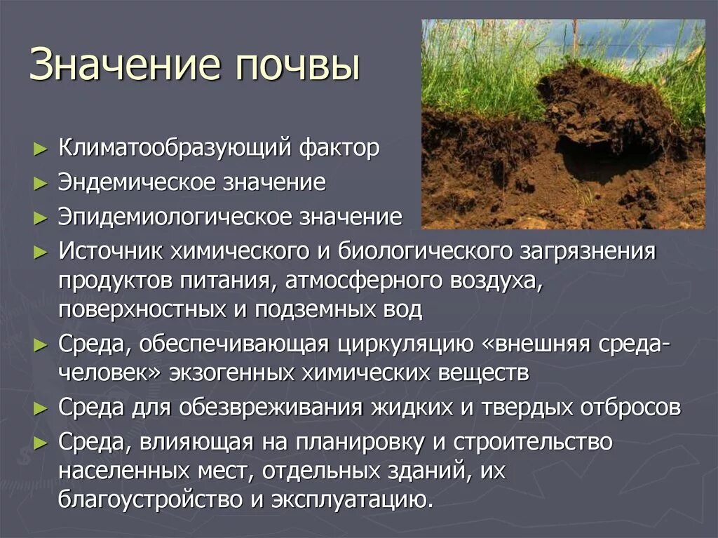 Влияние окружающей среды на почву. Значение почвы. Заняение почвы. Загрязнение почвы. Роль почвы для человека.