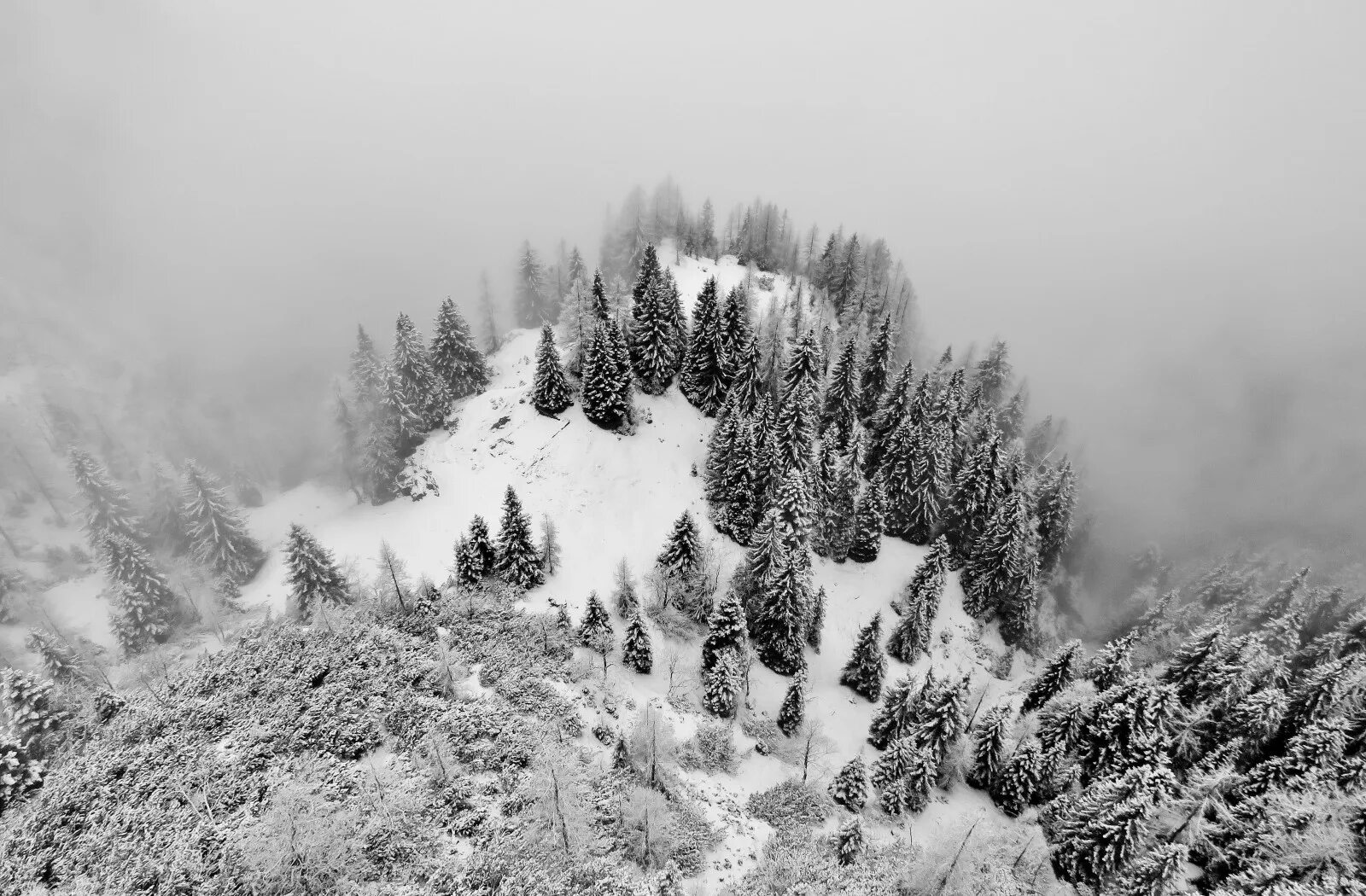 Bw изображение