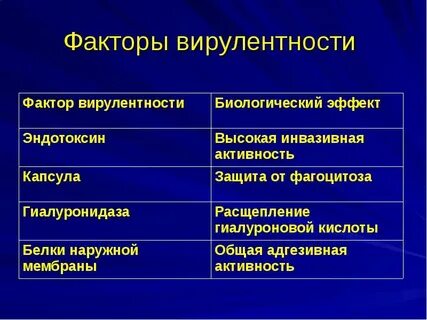 Вирус фактор