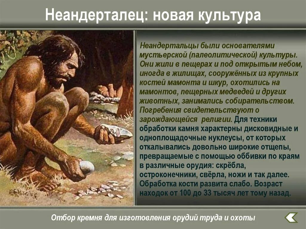 Особенности строения неандертальца. Неандерталец эпоха появления. Палеоантропы культура. Неандерталец биология. Когда жили неандертальцы.