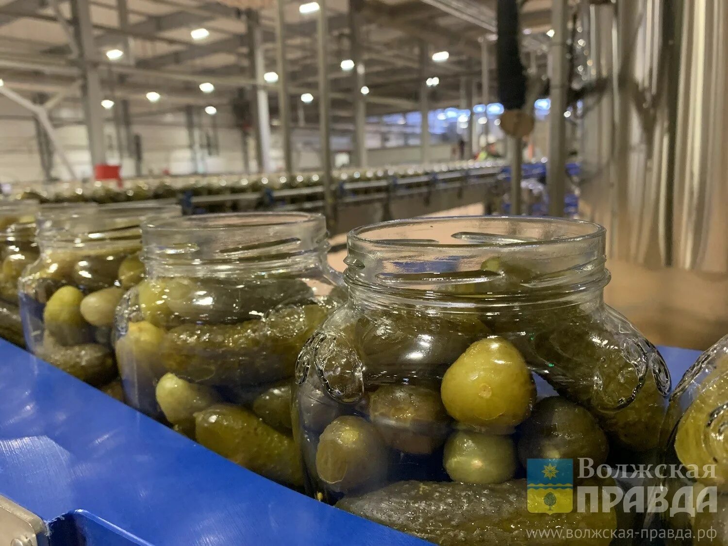 Консервный завод дядя ваня новоминская. Овощные консервы дядя ваня. Завод дядя ваня новоминская. Дядя ваня производитель консервов. Дядя ваня производитель консервов.