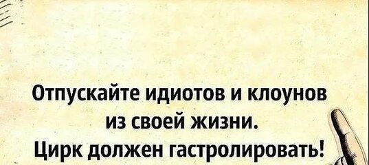 Цирк должен гастролировать. Отпускайте идиотов и клоунов из своей жизни. Отпускайте идиотов и клоунов цирк должен гастролировать. Отпускайте идиотов из своей жизни. Отпускайте идиотов и клоунов из своей жизни цирк должен.