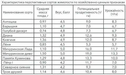 Жимолость таблица