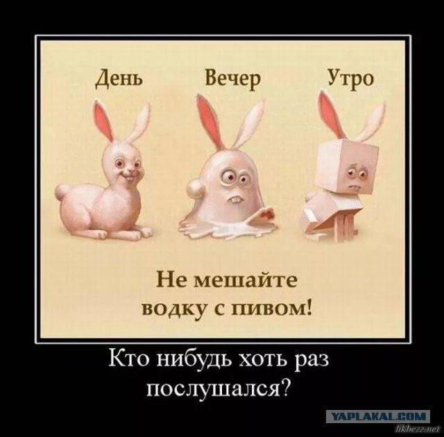 Хоть чего нибудь найди