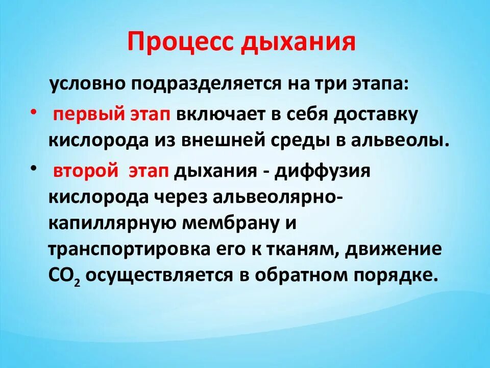 Процесс дыхания. Этапы процесса дыхания. Этапы процессов дыхания этапы процессов. Определение процесса дыхания дыхание. Результатом дыхание является