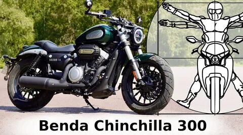 Шиншилла 300