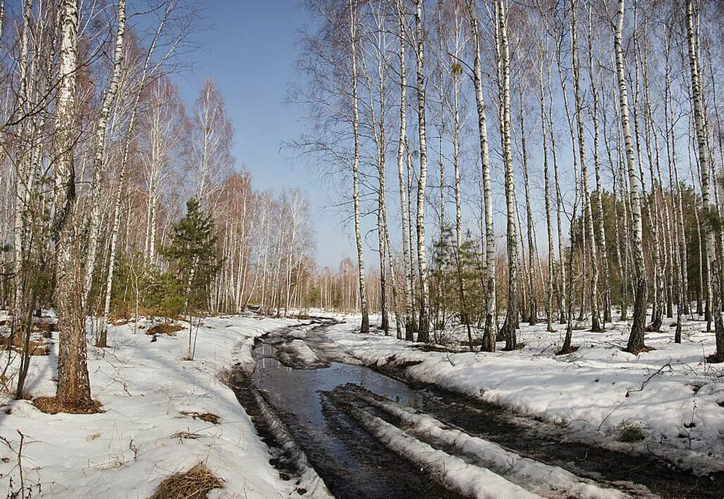 Начала весны среднем начало. Весенний пейзаж. Весенняя природа.