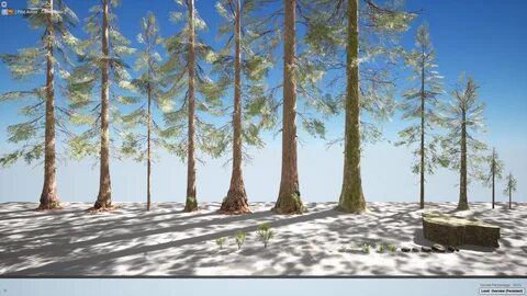 Realistic environment