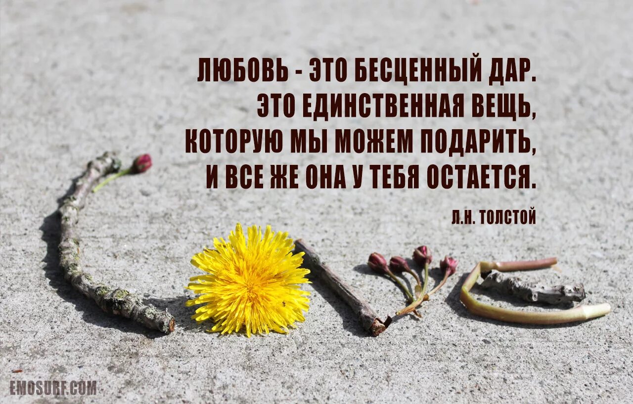 Цитаты великих людей о любви. Цитаты великих людей олюбви. Цитаты великих людей о любви со смыслом. Афоризмы о любви. Цитаты про любовь.