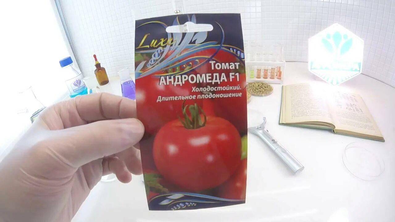 Характеристика сорта томата андромеда. Томат андромеда золотая f1. сорт томата андромеда. томат андромеда f1. томат розовая андромеда.
