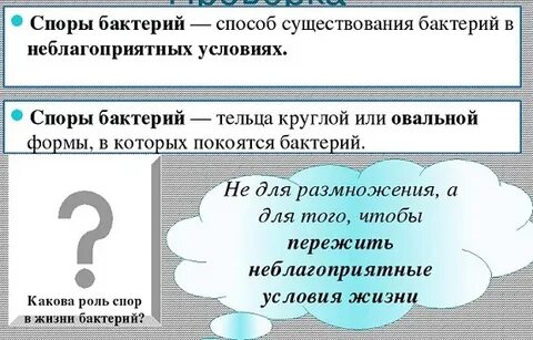 Значение спор в жизни