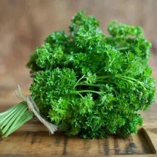 Кудрявая зелень