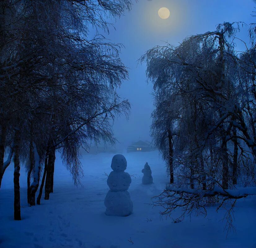 Холодная ночь читать. Зимний ночной пейзаж. Зимняя ночь. Зимняя Лунная ночь. Ночная зима.
