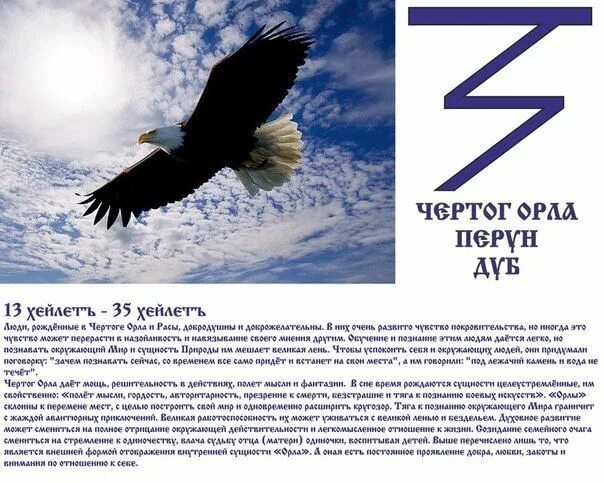 Год орла какого числа. Чертог орла тотемное животное. чертог орла покровитель перун. чертог орла даты. люди рожденные в чертоге орла.