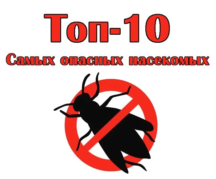 Опасность насекомых