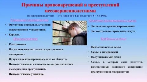 Что совершили правонарушение суду