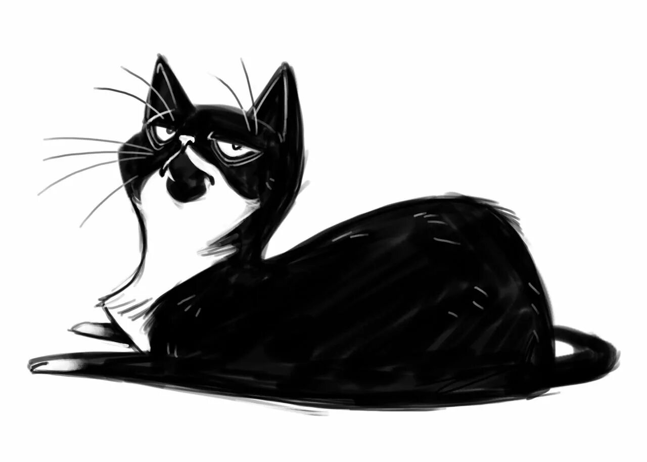 Рисунки черных котиков. Черный кот рисунок. Черно белый кот арт. Рисованные черные котики. Черная кошка арт.