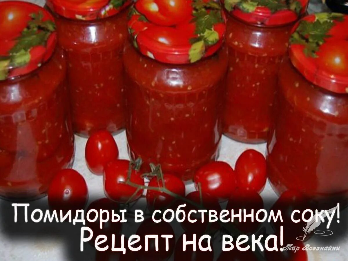 Томаты в собственном соку на зиму рецепты. Помидоры в собственном соку. помидоры в собственном соку на зиму. помидоры в собственном соку рецепт. маринованные помидоры в собственном соку.