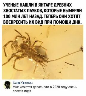 Ученые хотят