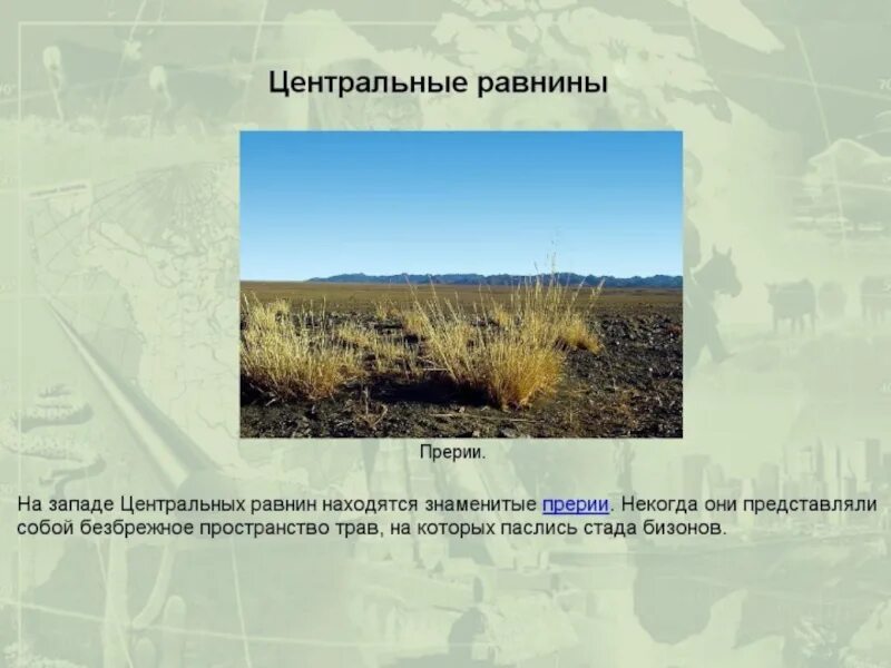 Рельеф центральных равнин. Низменность: центральная низменность. Равнины: центральная низменность. Миссисипская низменность. Рельеф северной америки низменности.