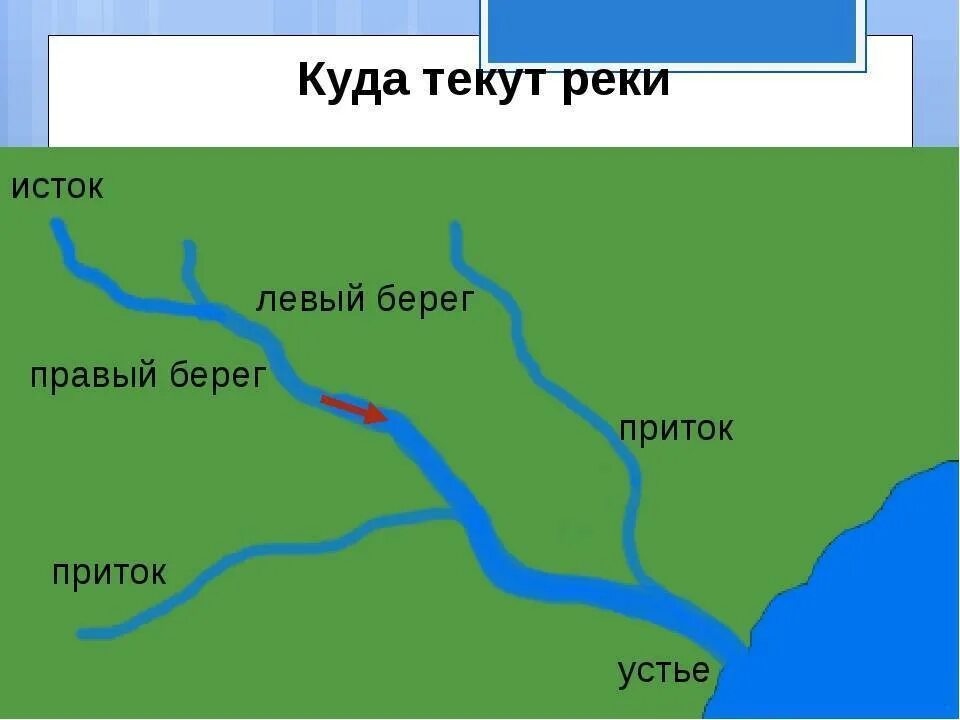 Где находится исток белый. Исток реки обь и устье и притоки реки. исток устье правый приток левый приток правый берег левый берег. куда течет река?. реки в россии исток, устье, приток на карте.