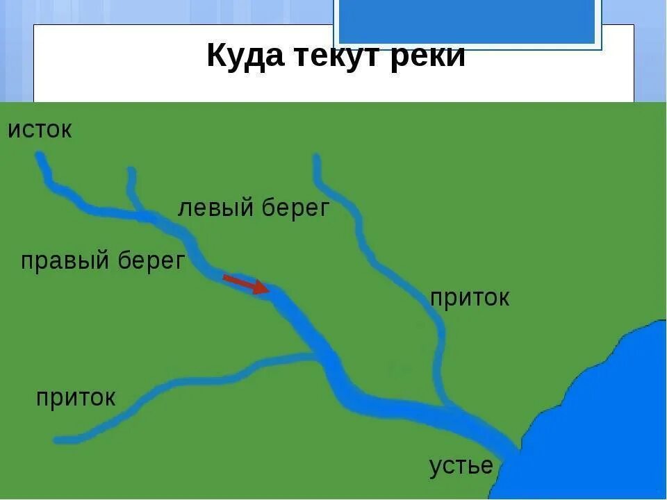 Реки россии исток и устье карта. Исток реки Обь и Устье и притоки реки. Куда течет река?. Схема реки. Куда впадает река.