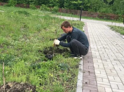 Погода поселок садовый тамбовской жердевского