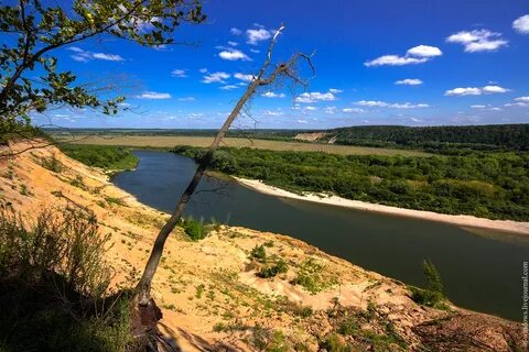 Кривоборье воронеж