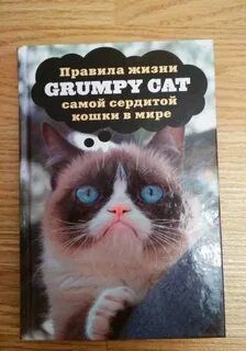 Кошки правят миром