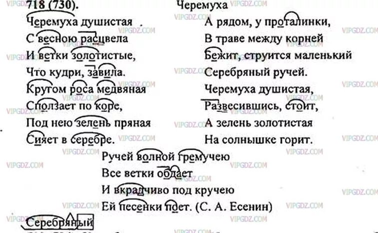 Русский язык пятый класс упражнение 718. Домашнее задание по русскому языку 5 класс ладыженская. русский язык 5 класс 718. русский язык 5 класс номер 718.