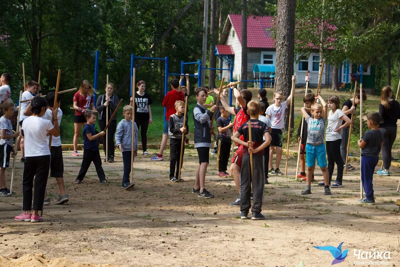 Дол чайка ленинградская. Дол Чайка СПБ. Лагерь Чайка Ленинградская область. Лагерь огонек Дерюзино. Лагерь Чайка Иркутск.