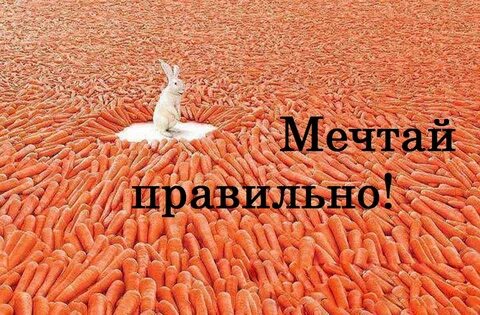 Мечтать не будь как все